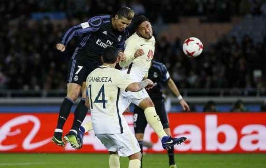 后的复苏 后的复苏